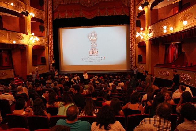 Audience enjoying a film screening or event